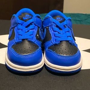 Toddler Nike Dunk Low